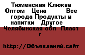 Тюменская Клюква Оптом › Цена ­ 200 - Все города Продукты и напитки » Другое   . Челябинская обл.,Пласт г.